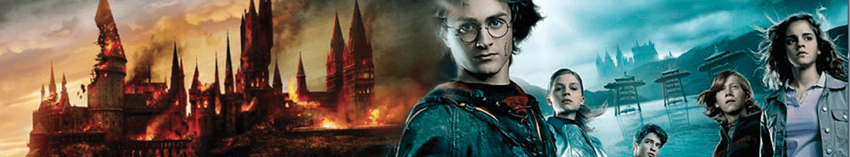 Harry Potter Harry Potter