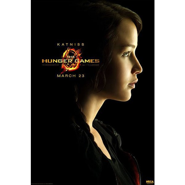 Affiche Hunger Games
