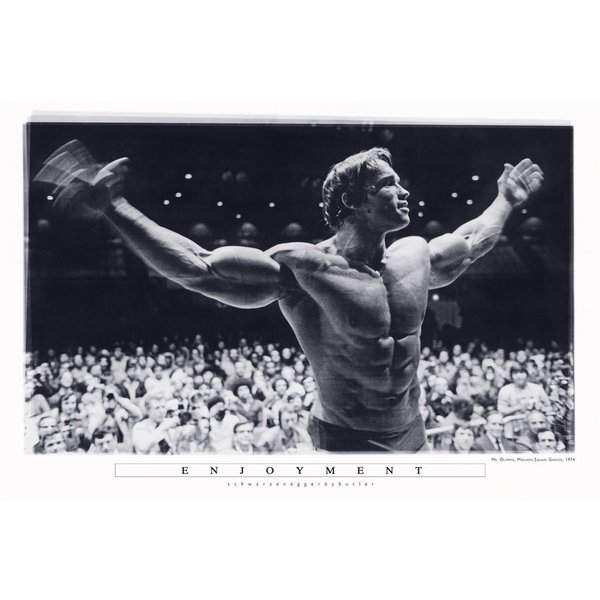 Poster Arnold Schwarzenegger -