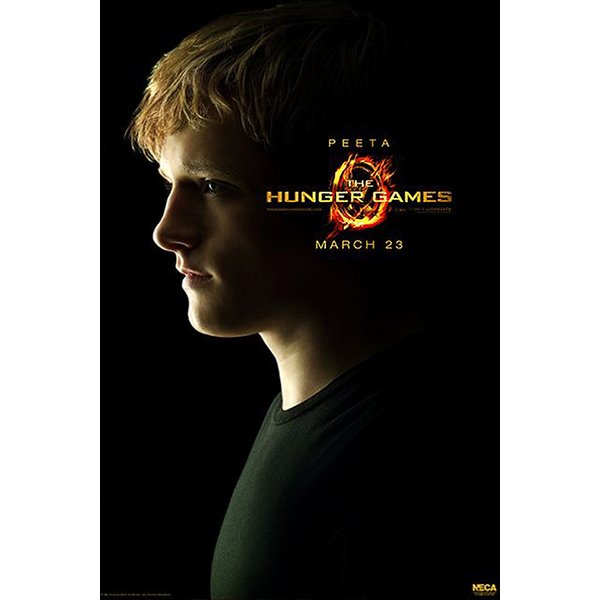 Affiche Hunger Games : 