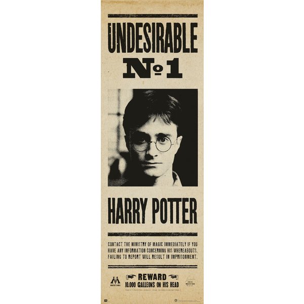 Poster de porte Harry Potter -