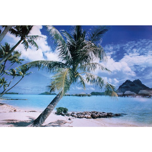 Poster île de Bora Bora