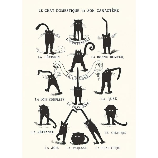 Poster Le Chat domestique et son