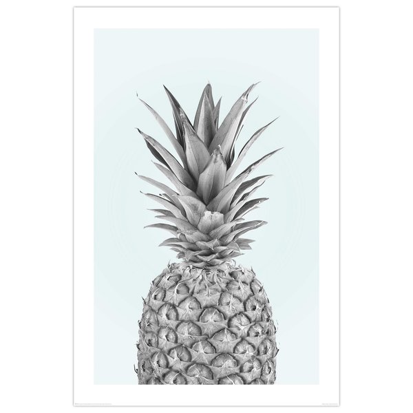Poster Pineapple - Ananas