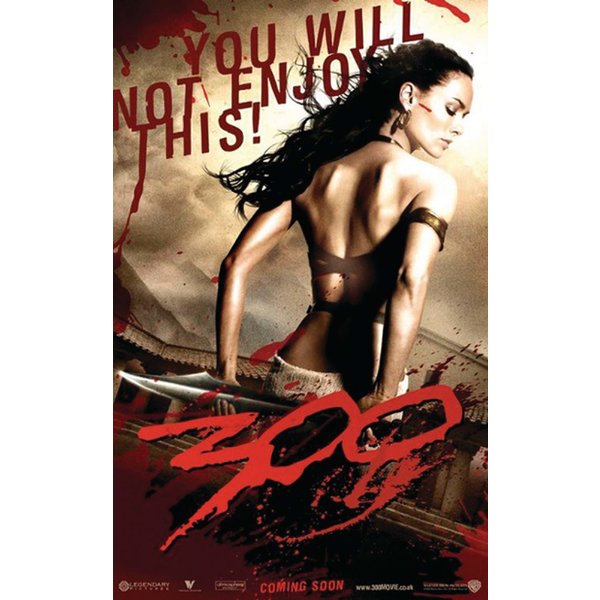 Poster 300 