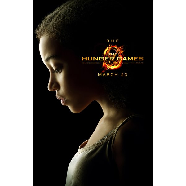 Affiche Hunger Games : 