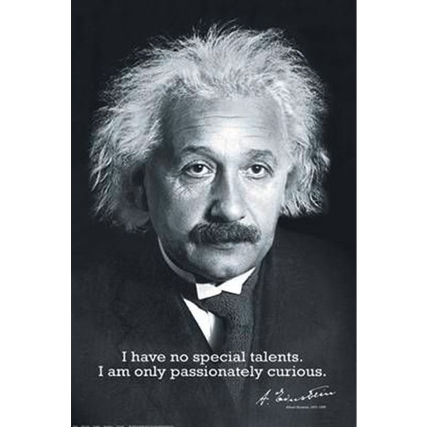 ALBERT EINSTEIN POSTER, Affiche