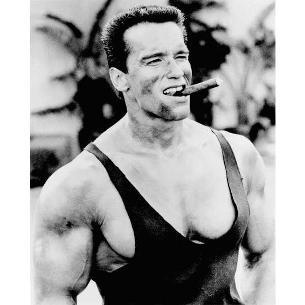 Reproduction Arnold Schwarzenegger