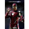 Poster Avengers : Endgame -