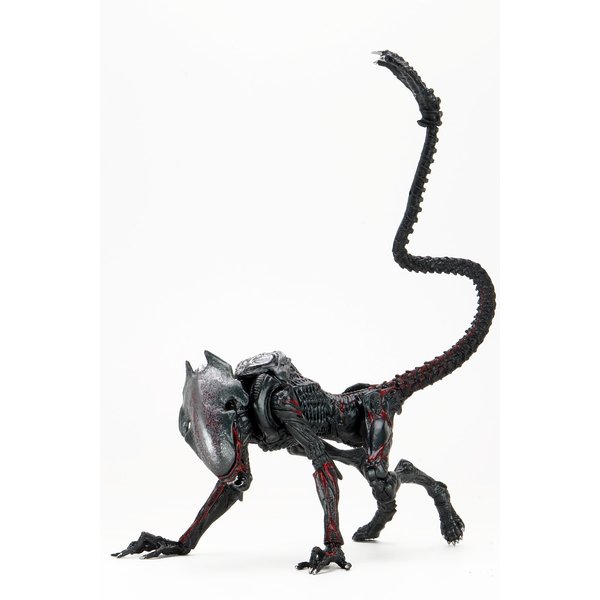 Figurine d'action 7" Aliens - Night Cougar Alien