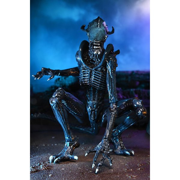 Figurine d'action 7" Alien vs. Predator - 