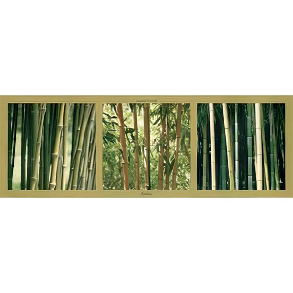 Poster foret de bambou