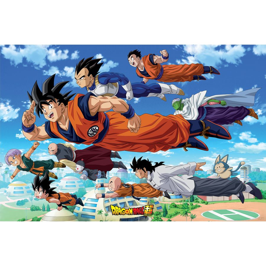 Poster Dragon Ball Super - Goku's Group, en vente sur Close Up