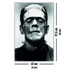 Poster Frankenstein 