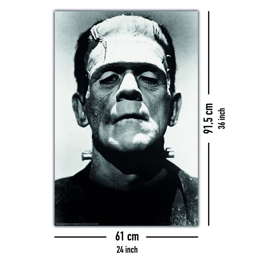 Poster Frankenstein Boris Karloff Posters grand format Commandez dès maintenant! Close Up