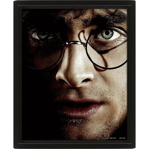 Poster 3D Harry Potter - Harry VS Voldememort