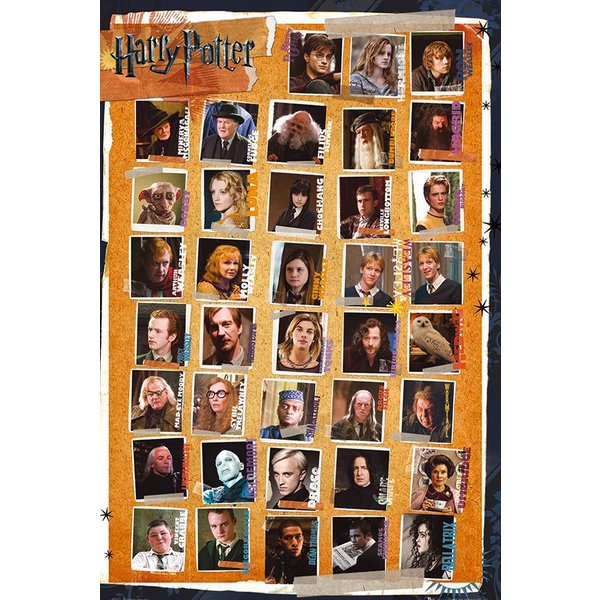POSTER HARRY POTTER ET LES