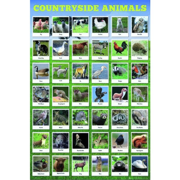 Poster animaux de la campagne