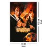 Poster Harry Potter et la Chambre des secrets