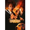 Poster Harry Potter et la Chambre des secrets