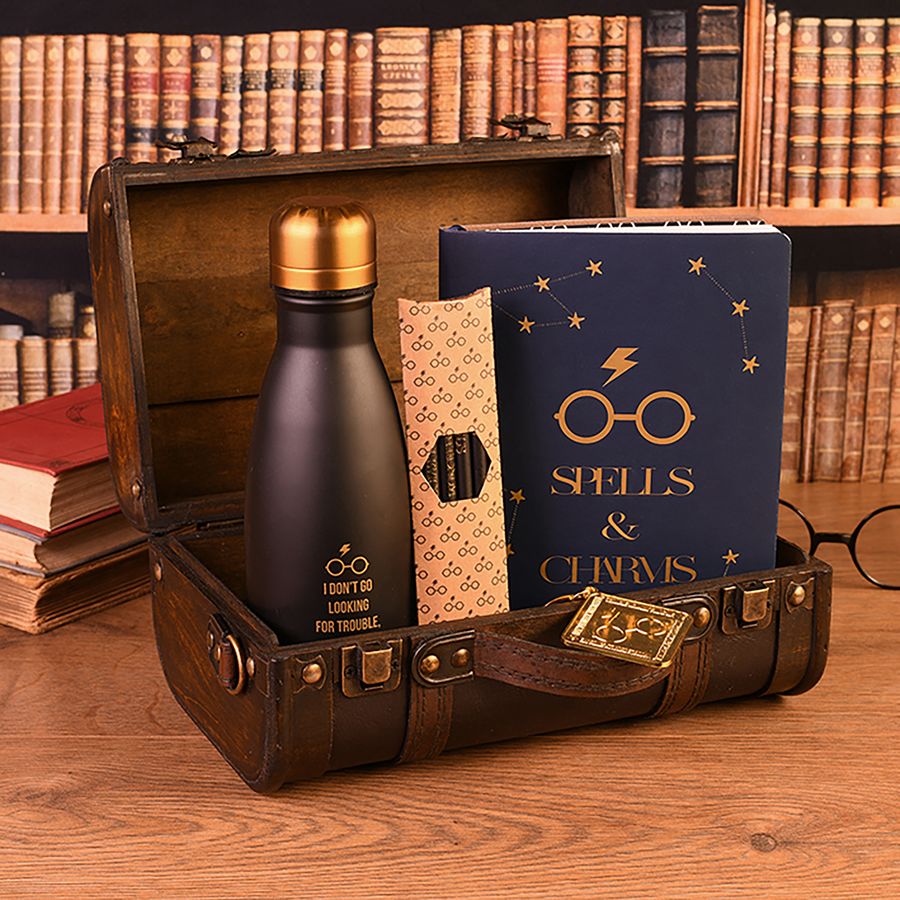 Coffretcadeau Premium Harry Potter Trouble Finds Me, sur Close Up