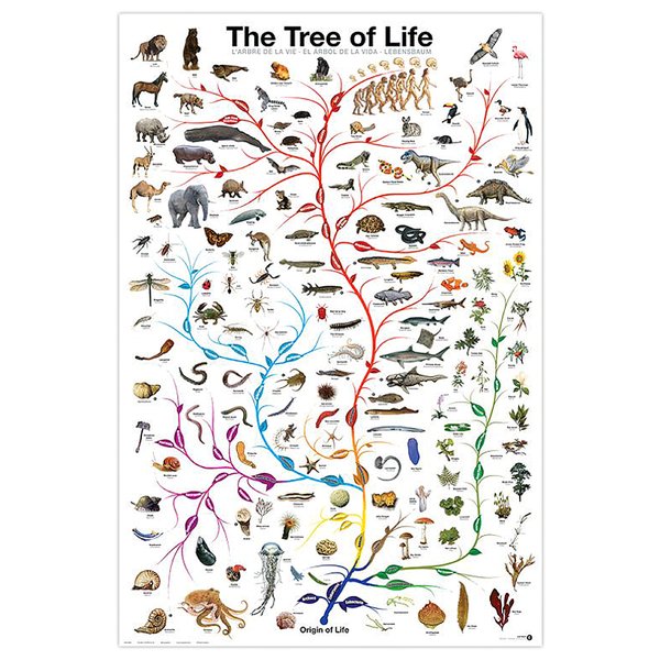 Art imprimé Arbre de vie 