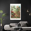 Poster Ernst Haeckel - Formes d'art de la nature /