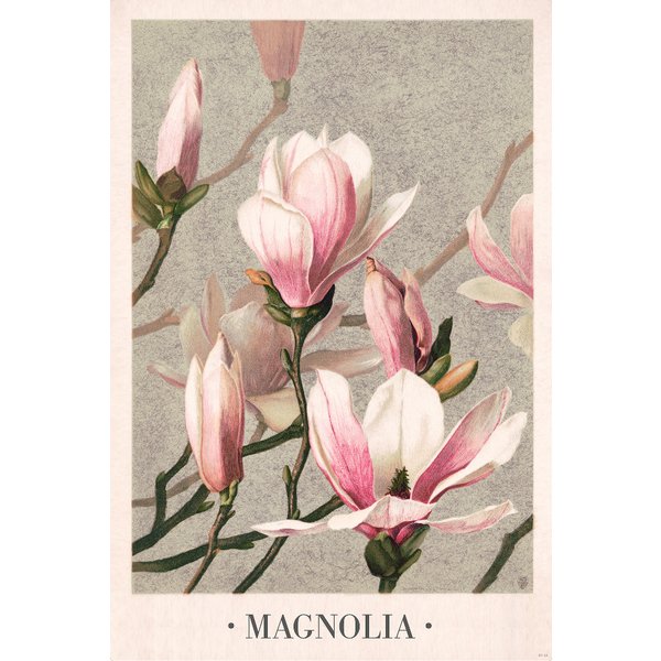Impression d'art Magnolia - 