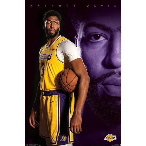 Poster NBA - Anthony Davis, 19