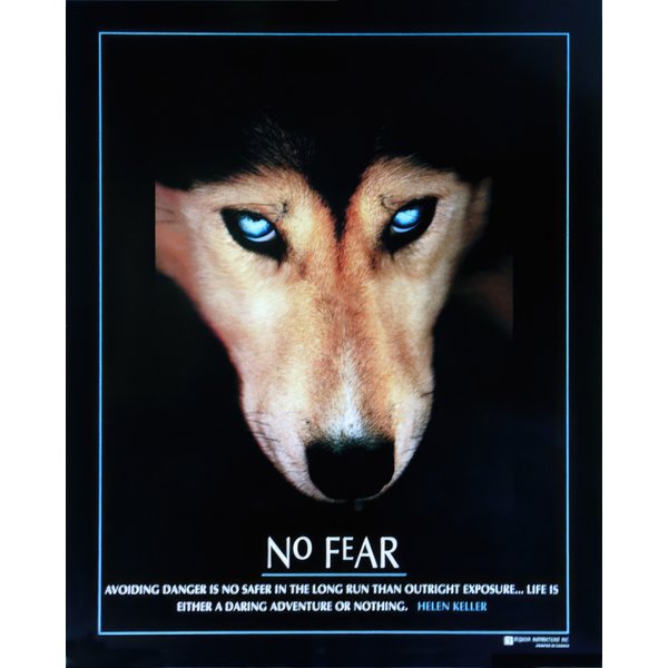 Poster No Fear 