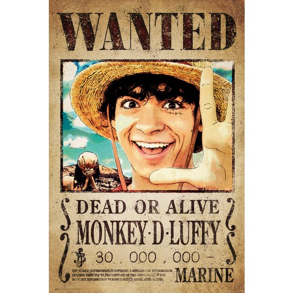 Poster One Piece - Wanted Monkey D. Luffy