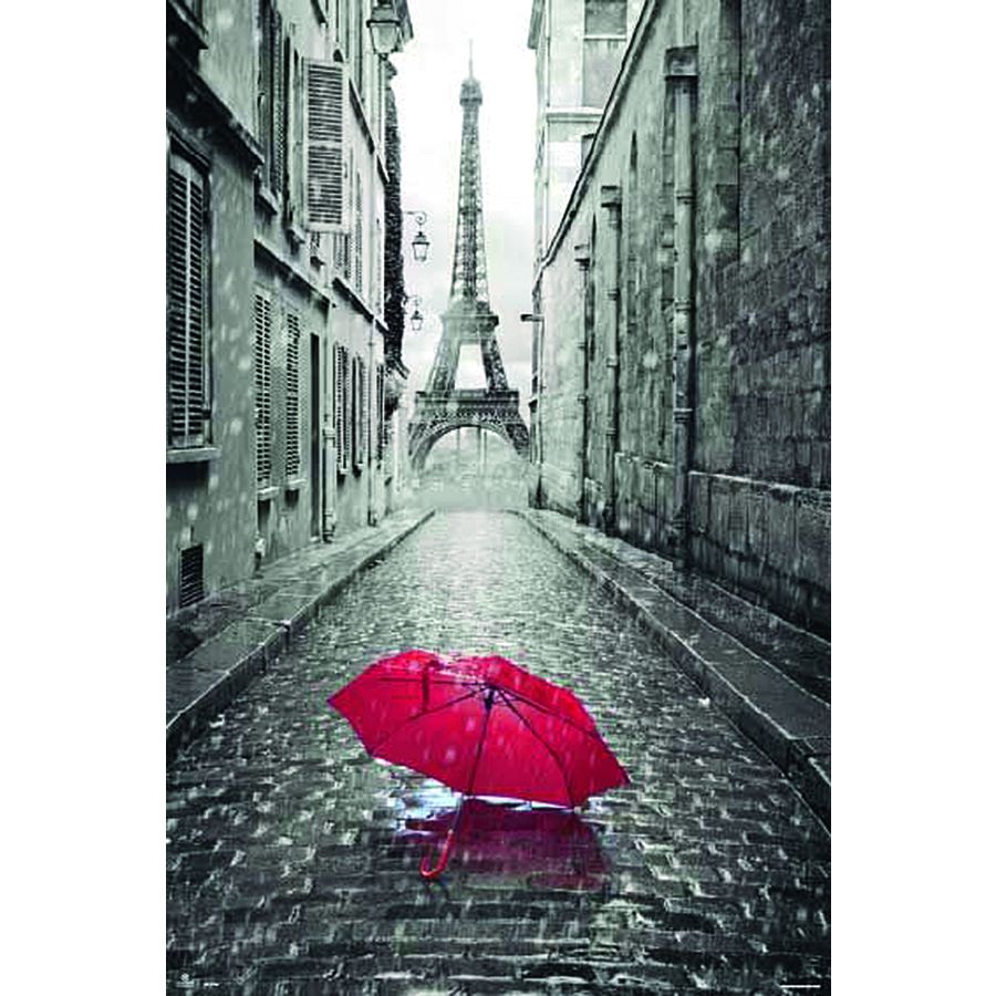 Rue de Paris Poster - Affiches en noir et blanc