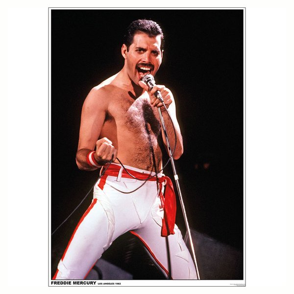 Poster Queen Freddie Mercury