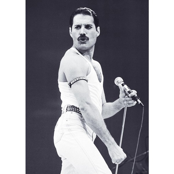 Poster Queen - Freddie Mercury