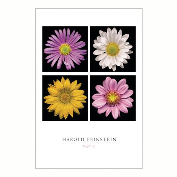 SIMPLICITY, Poster, Affiche