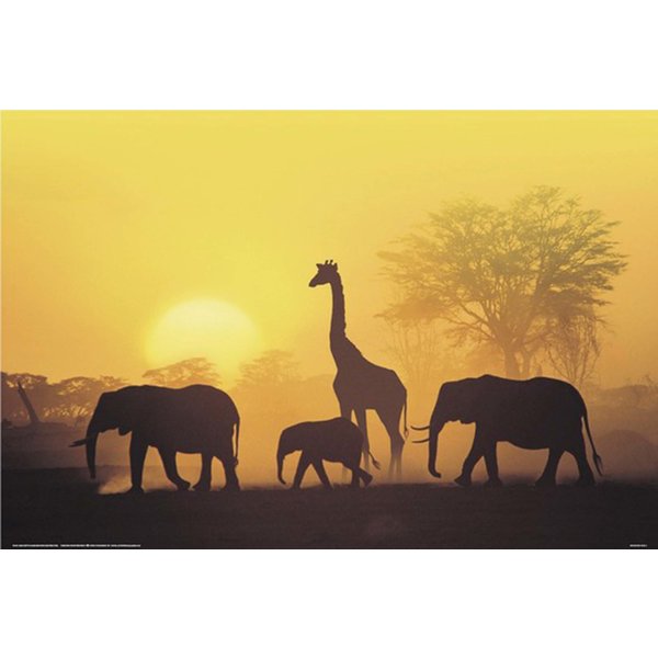 SONNENUNTERGANG IN KENIA, Poster, Affiche