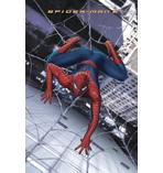 Poster Spider-Man 2 en 3D 