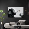 Poster Steez Monkey Joint Time