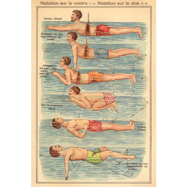 Poster Natation - Friedrich Eduard Bilz