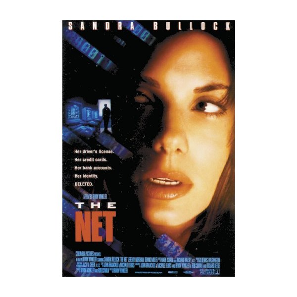 THE NET, Poster, Affiche