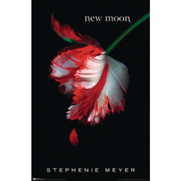 TWILIGHT NEW MOON POSTER, Affiche